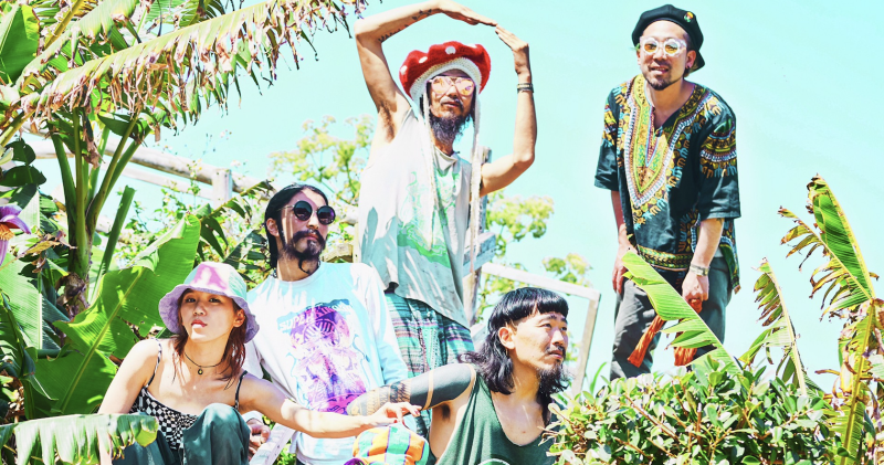 Super Jet Kinoko live